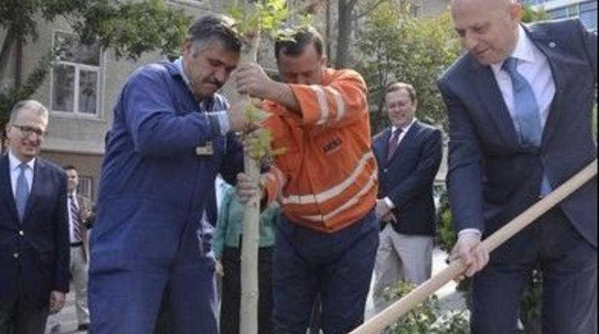 Ağır Hastalar İ&ccedil;in Kemofiltre Havalandırmalı Mikropsuz Odalar