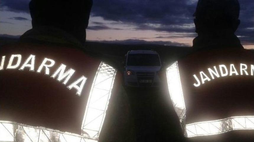 K&ouml;pek D&ouml;v&uuml;şlerine Jandarma Engel Oldu