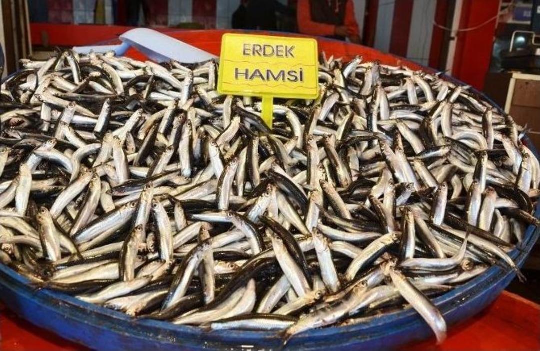 (&ouml;zel Haber) - Hamsinin Fiyatı Hava Durumuna Endeksli