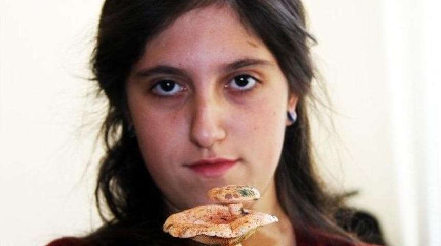 &Ccedil;ıntar Yavruladı