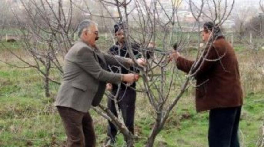 Kilis&rsquo;te Budama Kursu