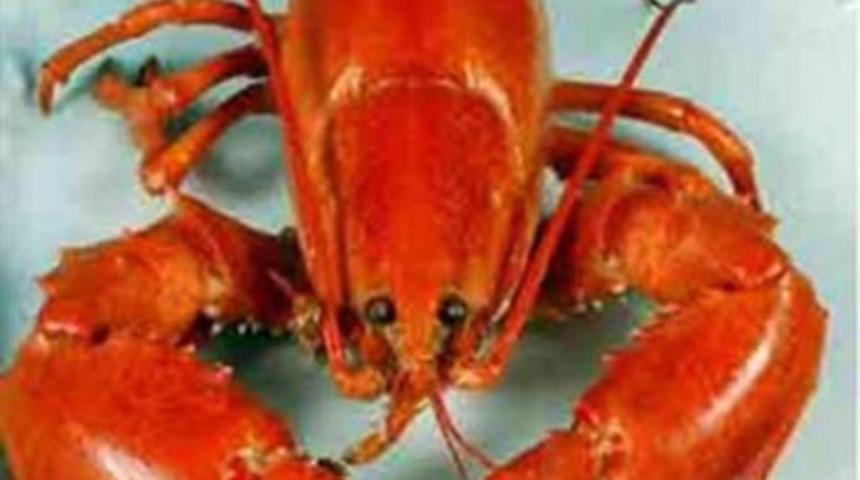 Hi&ccedil; bilmediğiniz ger&ccedil;ekler