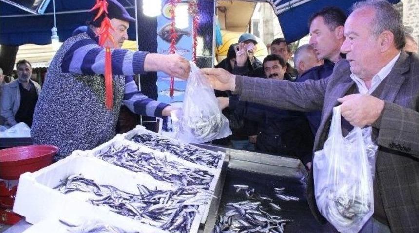 Kilosu 5 Tl&rsquo;ye İnen Hamsiye H&uuml;cum