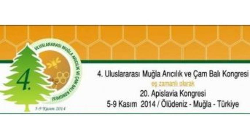 4. Uluslararası Muğla Arıcılık Ve &Ccedil;am Balı Kongresi Fethiye&rsquo;de Ger&ccedil;ekleştirilecek