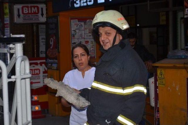 Binadan Kopan Tuğla Paniğe Neden Oldu 3