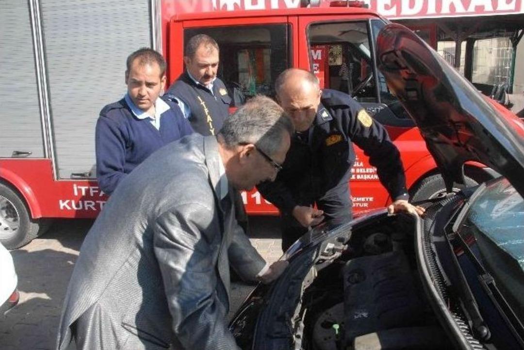 Yavru Kedinin Yaptığına Bak