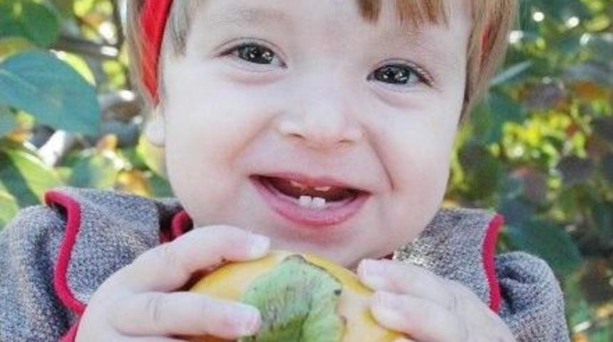 Cennet Elması &Uuml;reticinin Y&uuml;z&uuml;n&uuml; G&uuml;ld&uuml;r&uuml;yor