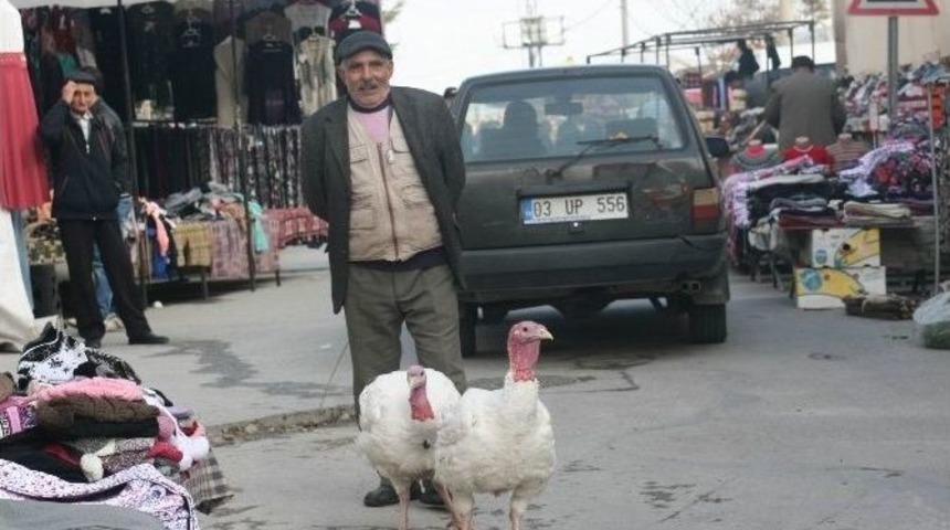 20 Kilogram Ağırlığındaki Hindiler G&ouml;renleri Şaşkına &Ccedil;evirdi