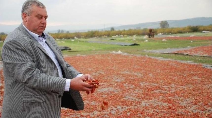 Karacabey&rsquo;de Biberler Artık Tarlada Kurutulmayacak