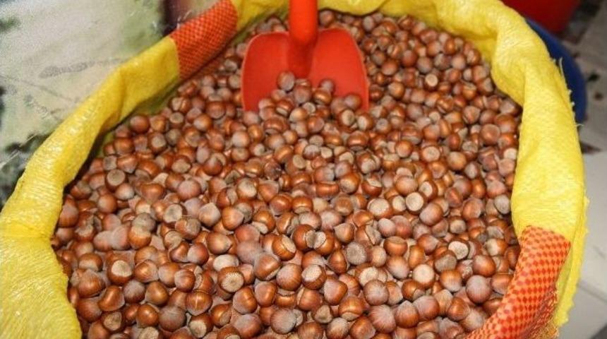 C&ouml;r&uuml;t: &ldquo;&uuml;reticiyi Paniğe Soktular&rdquo;