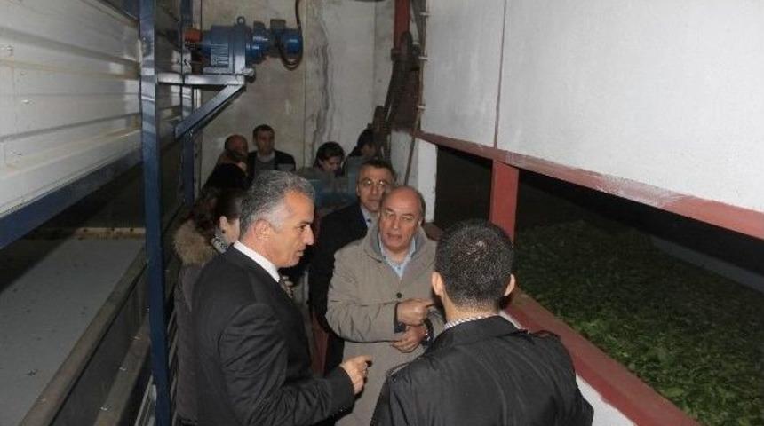 Rusya Federasyonu Trabzon Başkonsolusu Talanov&rsquo;dan Espiye&rsquo;ye Ziyaret