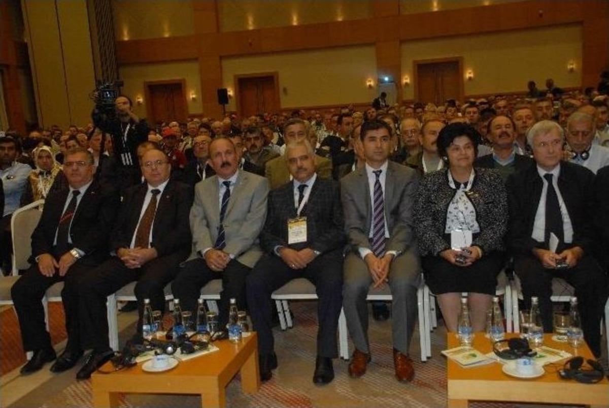 D&uuml;nya Arıcıları Fethiye&rsquo;de Buluştu