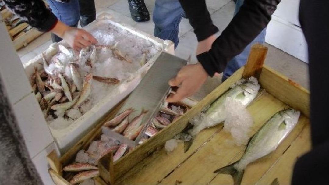 D&uuml;zce&rsquo;de 75 Kilo Balığa El Konuldu