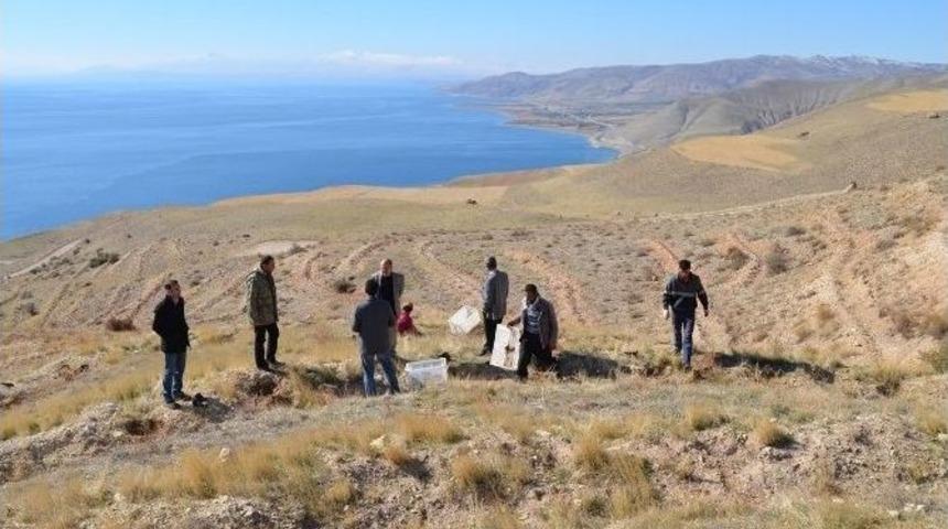 Belediye Başkanı G&uuml;rsoy, İş&ccedil;ilerle Birlikte Fidan Dikti