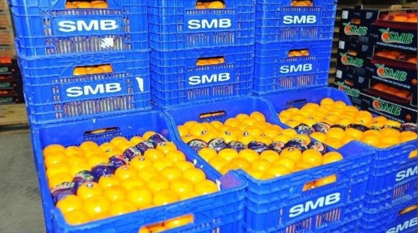 D&uuml;nyanın En Kaliteli Mandalinasının Sezonu Başladı