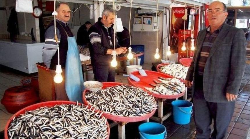 Bandırma&rsquo;da Balık Bereketi Yaşanıyor