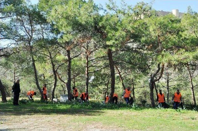 Mahkumlar “temiz Silifke” İçin Çalışıyor