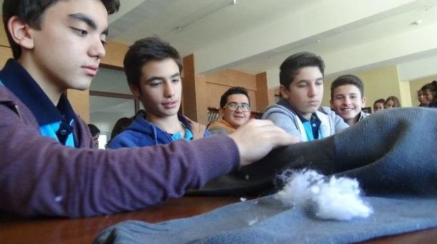 Kedilere Kazaktan Yatak