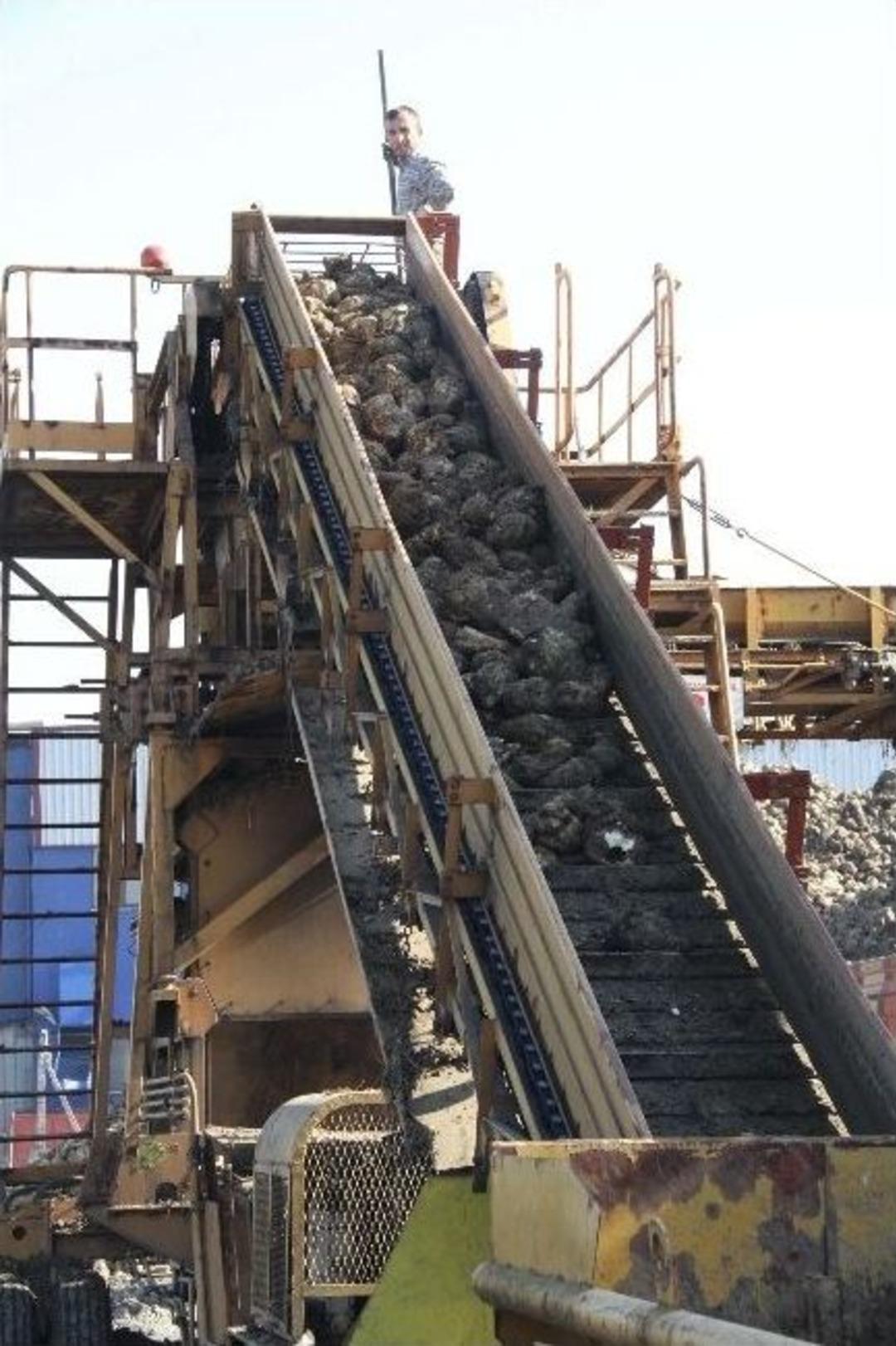 Kota Kalktı, İneg&ouml;l&rsquo;de Pancar &Uuml;retimi Arttı