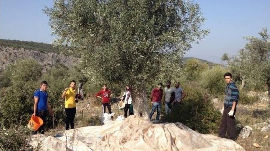 Didim&rsquo;de &ldquo;tarladan Usta Ellere&rdquo; Etkinliği Yapıldı