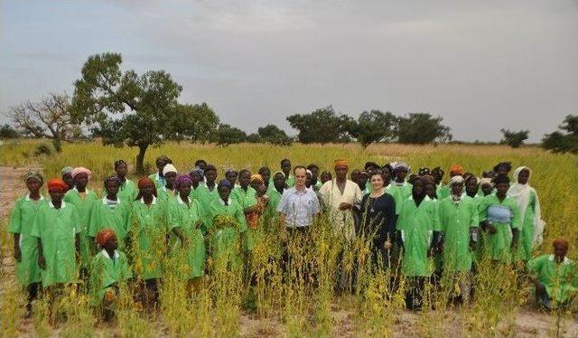 Burkina Faso’da 100 Bin Moringa Oleifera Ağacı Yetiştirilmesi Projesi’ninüçüncü Aşamasına Geçildi