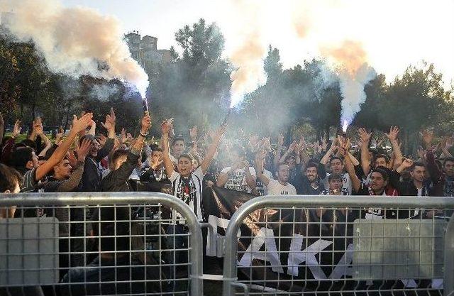 Beşiktaşlı Taraftarlar, Tff’yi Protesto Etti