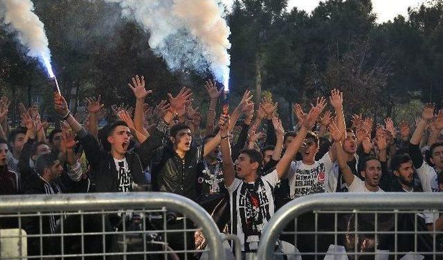 Beşiktaşlı Taraftarlar, Tff’yi Protesto Etti