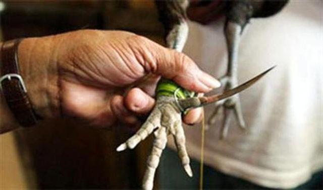 Ölen imamın sesiyle irkildiler! 5