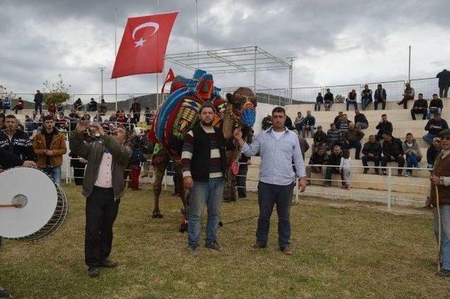 Edremit’te Develere Törenle Havut Giydirildi