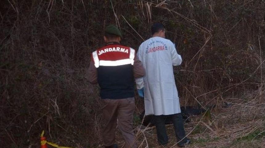 Avcılar Ceset Buldu