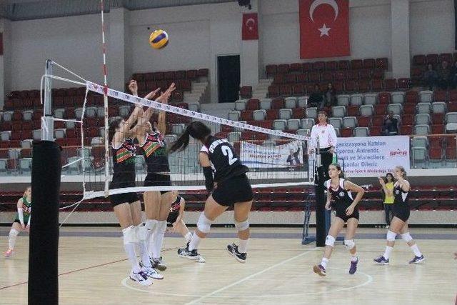 Voleybol 3. Lig