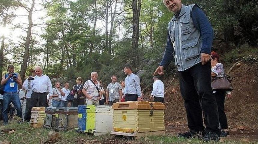 T&uuml;rkiye&rsquo;nin En G&uuml;zel Balı Ankara&rsquo;dan