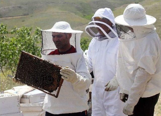 Türkiye’nin En Güzel Balı Ankara’dan