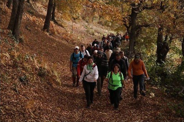 Taraklı’da Doğa Yürüyüşü