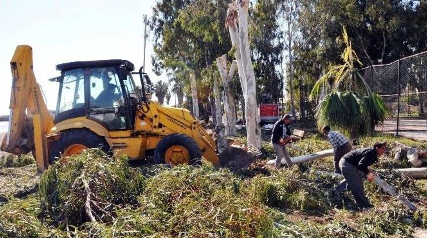 Erdemli Belediyesi Park Bah&ccedil;e Bakımını S&uuml;rd&uuml;r&uuml;yor