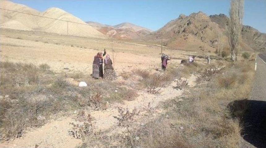 Oltu-ardahan Karayolu Yeşile B&uuml;r&uuml;necek