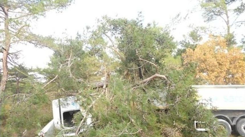 Yoldan &Ccedil;ıkan Kamyon Ağa&ccedil;lara &Ccedil;arparak Durabildi: 1 Yaralı