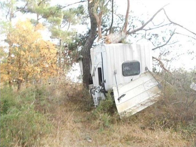 Yoldan &Ccedil;ıkan Kamyon Ağa&ccedil;lara &Ccedil;arparak Durabildi: 1 Yaralı 1