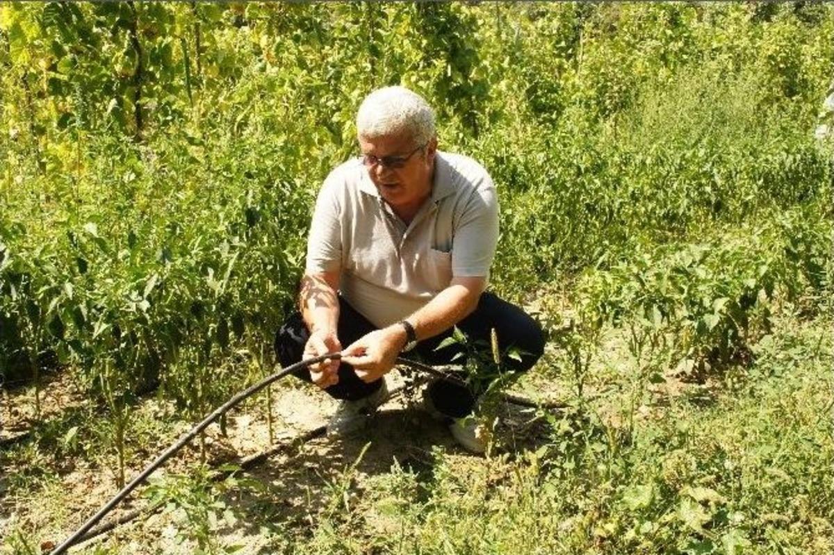 (&ouml;zel Haber) G&uuml;neş Enerjisinden &Uuml;rettiği Elektrikle Tarım Arazini Suluyor