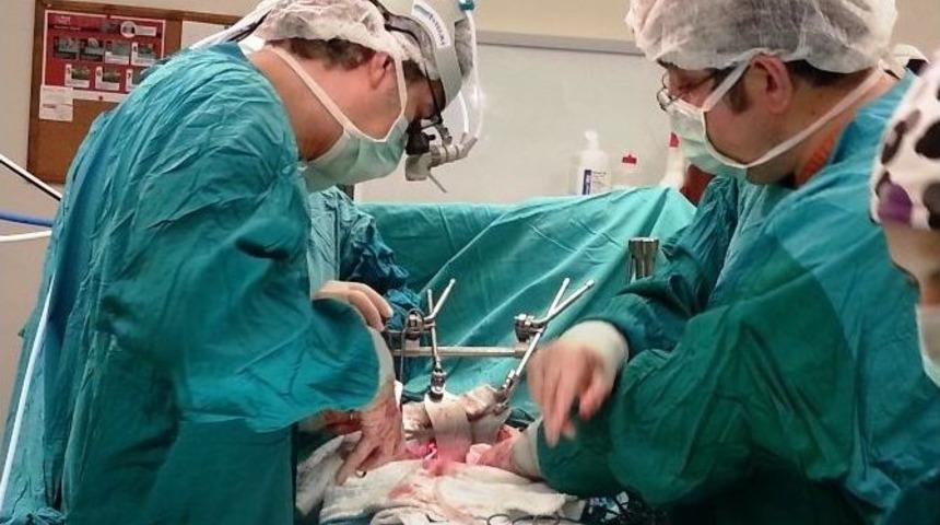 Pankreas Kanserine En B&uuml;y&uuml;k Etken Sigara