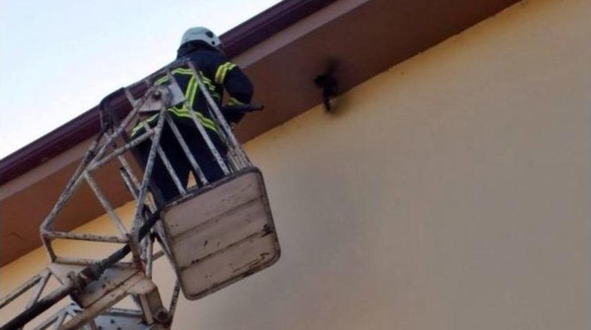 &Ccedil;atıya Takılan Kargaya Kurtarma Operasyonu