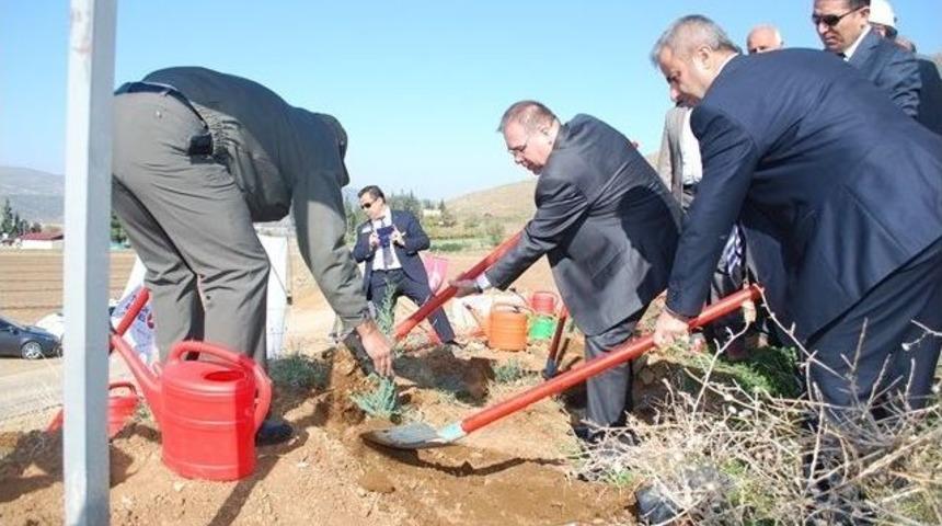 Ogm Thy Ormanı Kuruldu