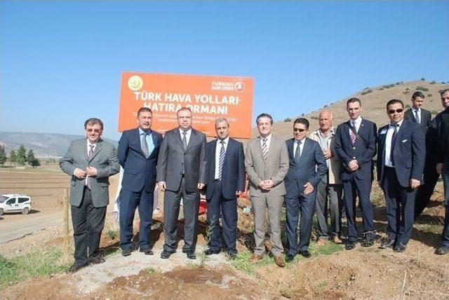 Ogm Thy Ormanı Kuruldu 1