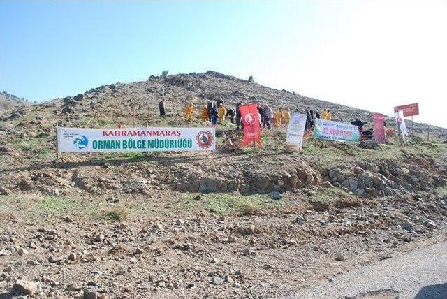 Ogm Thy Ormanı Kuruldu 2