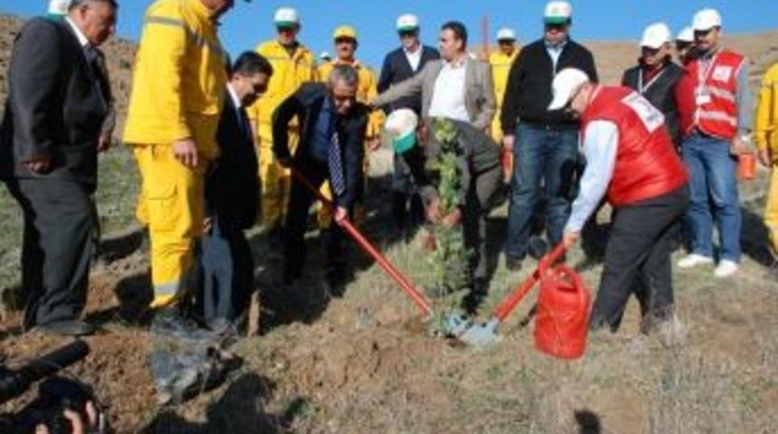 Kahramanmaraş&rsquo;a Yeşil Kuşak