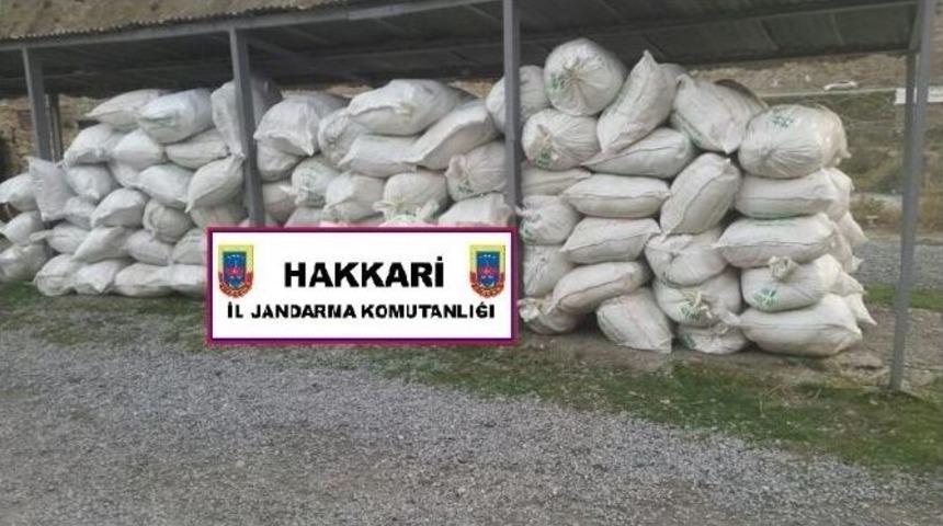 Hakkari&rsquo;de 16 Ton 250 Kilo &Ccedil;ay Ele Ge&ccedil;irildi