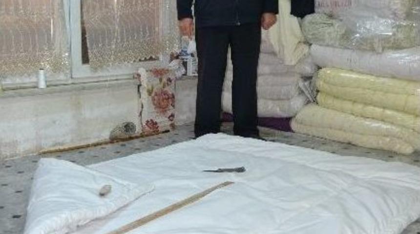 Yazın Yaptırıyorlar Kışın Sarılıyorlar