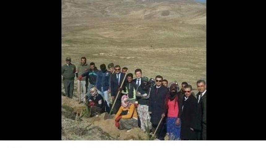 Vali D&uuml;zg&uuml;n Erciyes&rsquo;teki Ağa&ccedil;landırma &Ccedil;alışmalarını Yerinde İnceledi