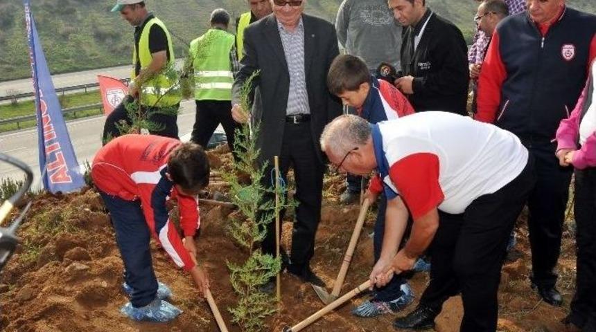 Altınordu Fidan Dikti