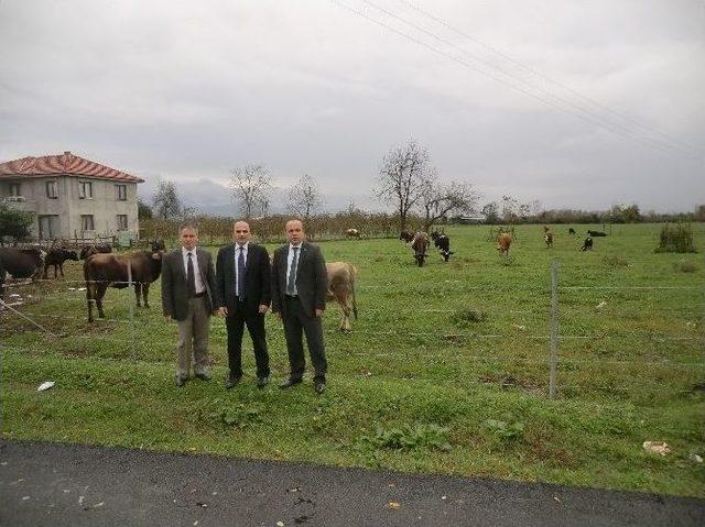 D&uuml;zce&rsquo;de Mera&rsquo;lar Islah Ediliyor 2